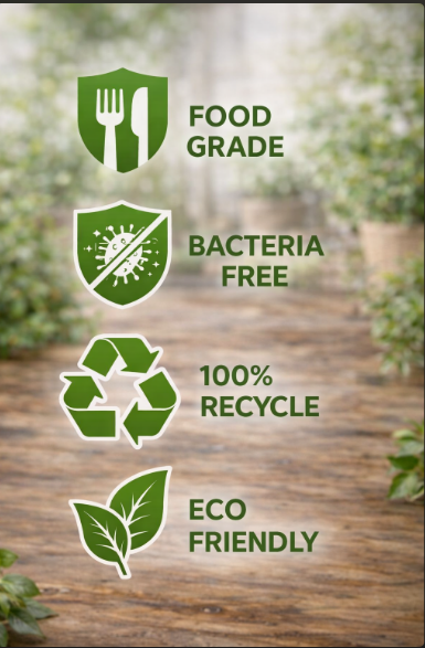 Home page screenshot 2025 12 24 132141